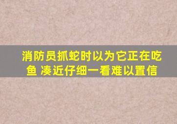 消防员抓蛇时以为它正在吃鱼 凑近仔细一看难以置信